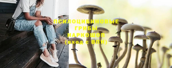кокс Белокуриха