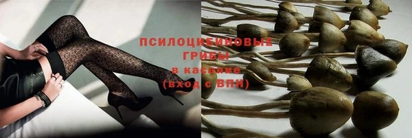 кокс Белокуриха
