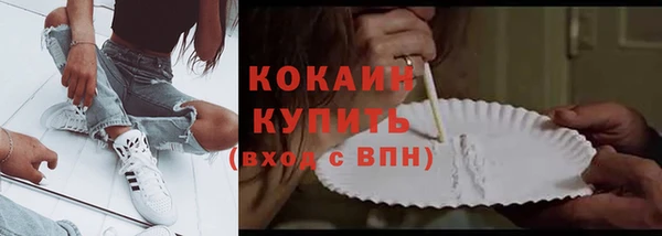 кокс Белокуриха
