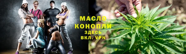 мдпв Богородск