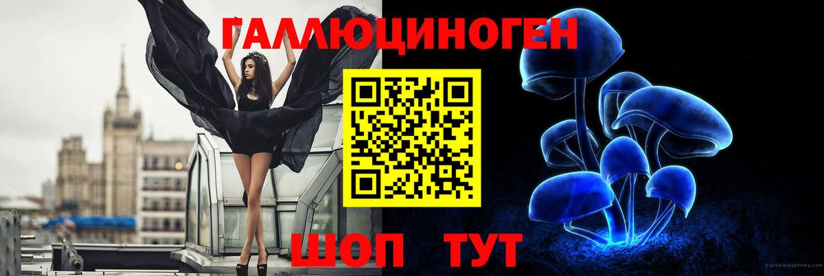 Дагестанские Огни  Галлюциногенные грибы мухоморы  Вход с VPN 